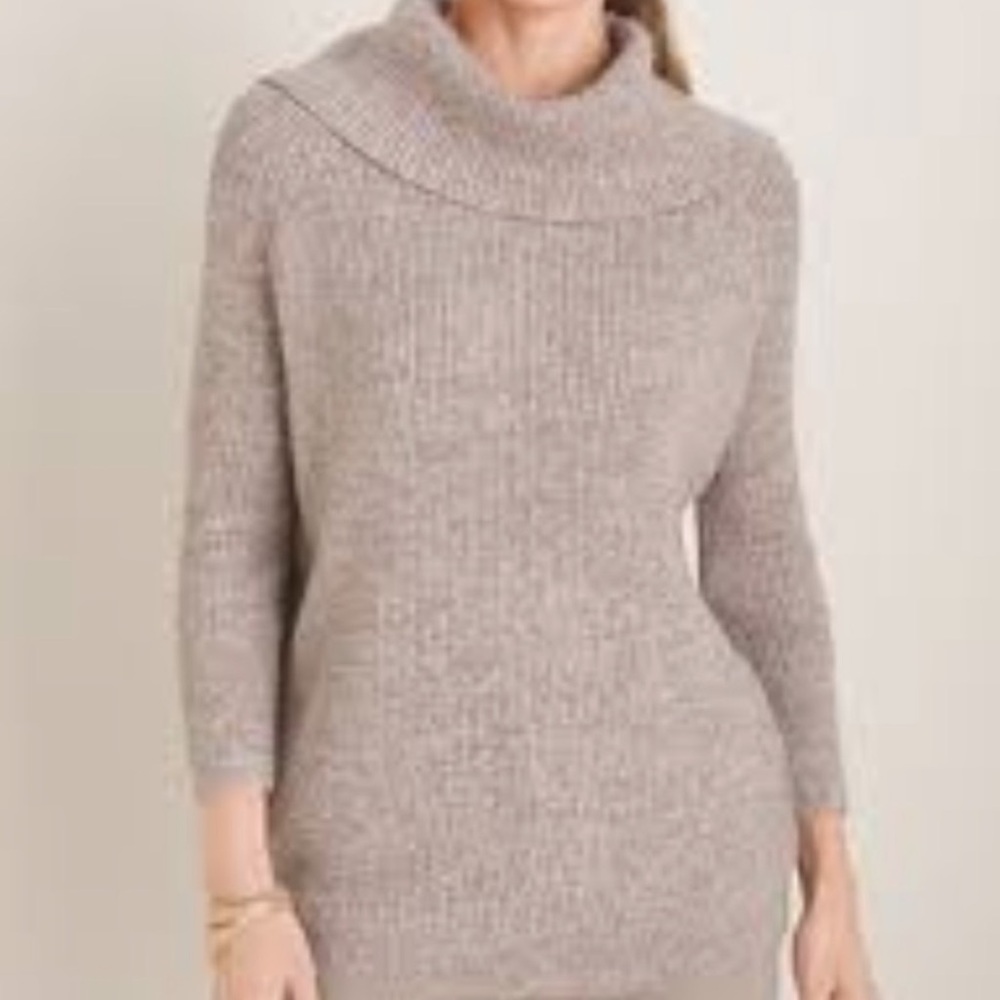Perseption Taupe Cowl Neck Sweater